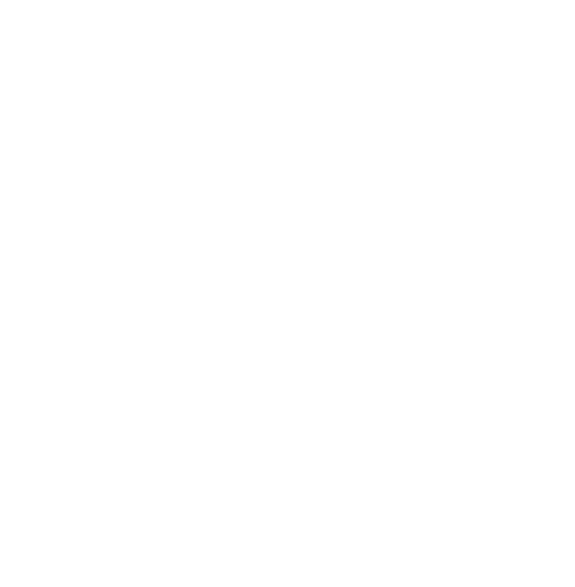 sns logo